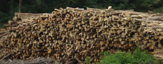 VIDAL BOIS de chauffage - Le bois de chauffage en 2 mètres de long