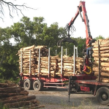 Bois de chauffage :  2 m de long 