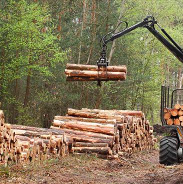 Cubage du bois de chauffage