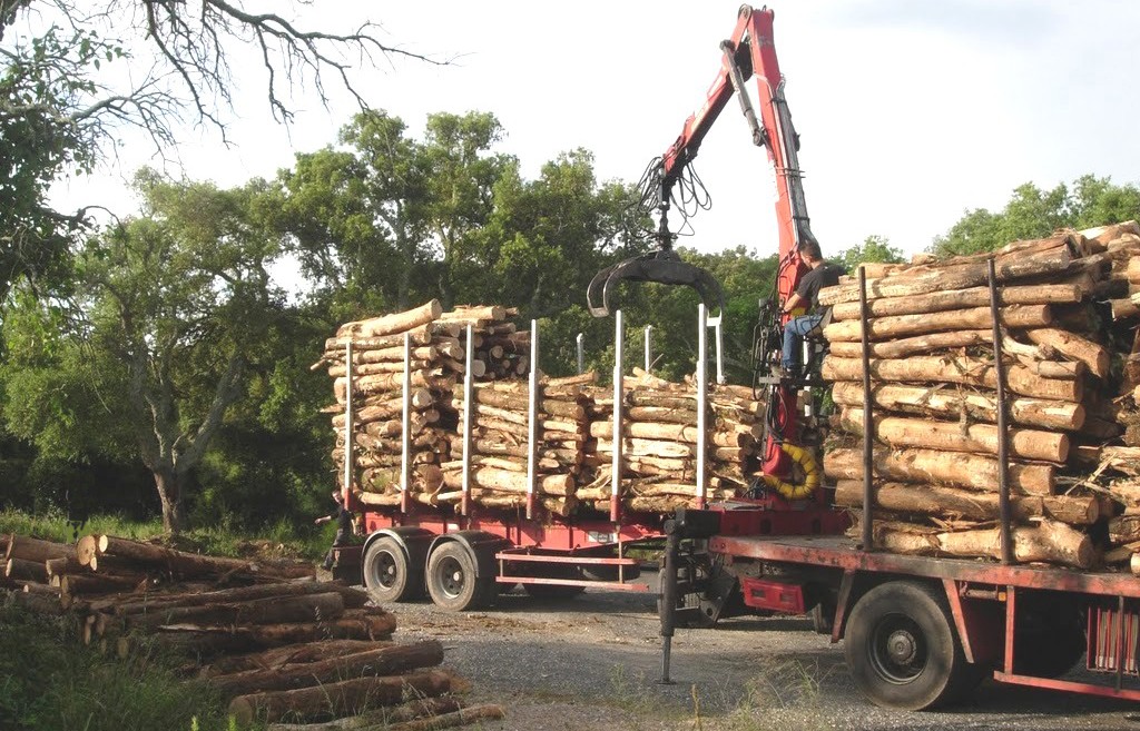 VIDAL BOIS de chauffage - Le bois de chauffage en 2 mètres de long