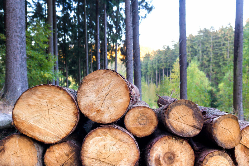 Le Bois d'industrie