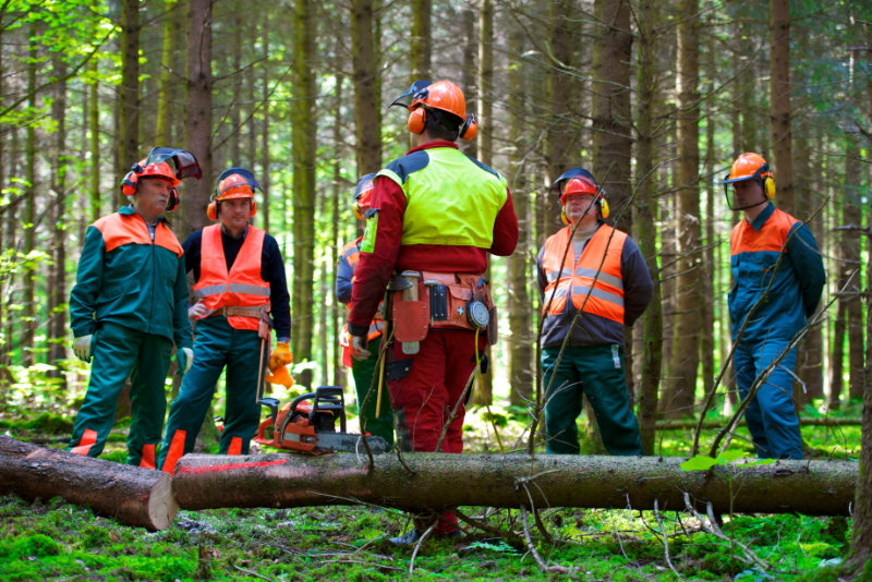 La foret est notre metier