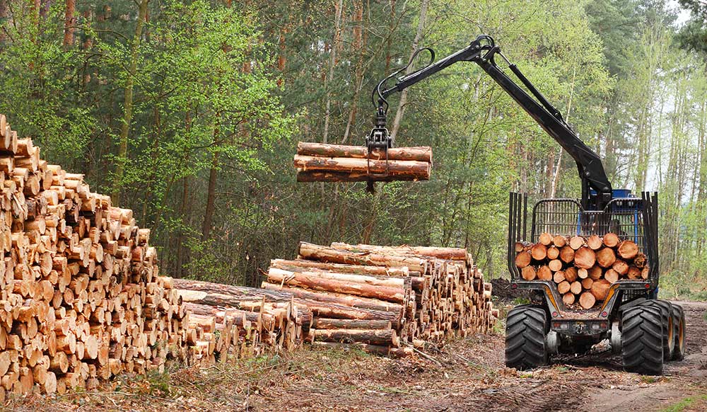 Cubage du bois de chauffage