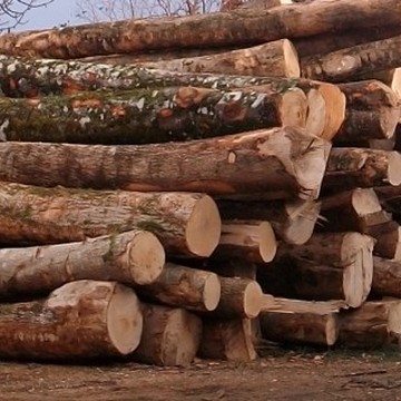 Perches de bois de chauffage