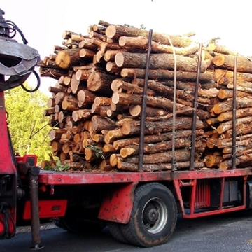 bois de chauffage en 2ml