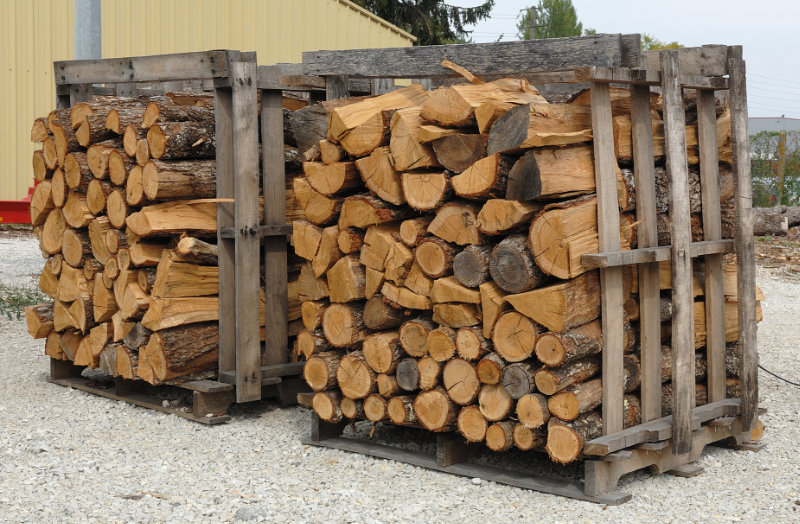 récolter du bois de chauffage pour l'hiver. un chariot vide se