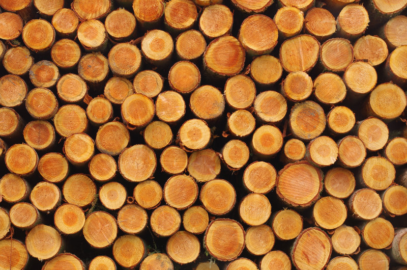 Vidal Bois bois de chauffage et prix de stère de bois à Castres et Nîmes
